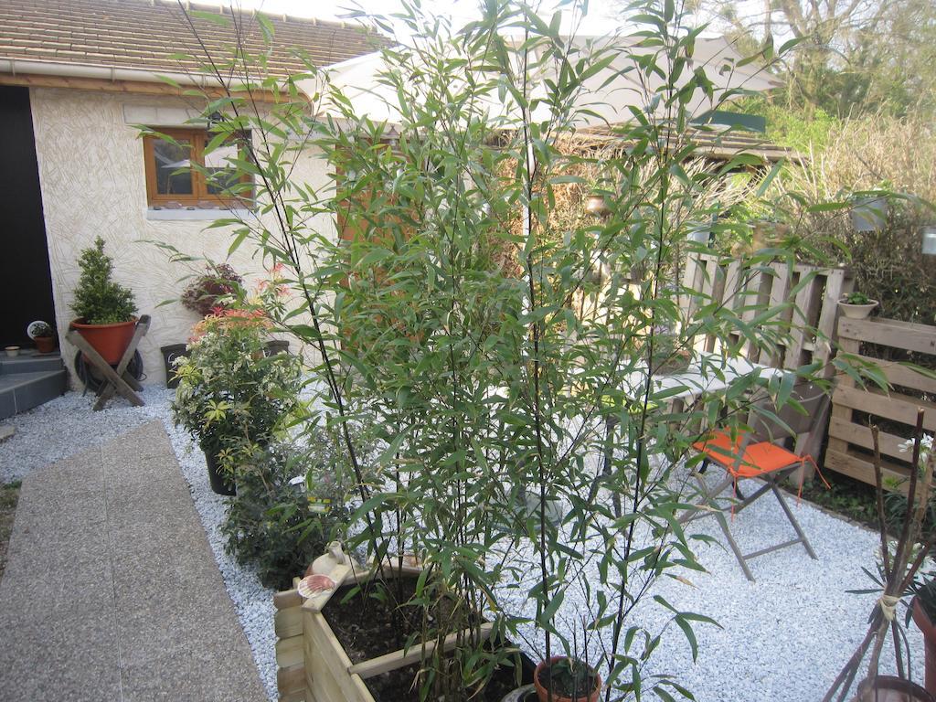 B&B 2 Zen Detente Coye-la-Foret Exterior photo